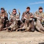 Six Texas Whitetail Deers at Shonto Ranch