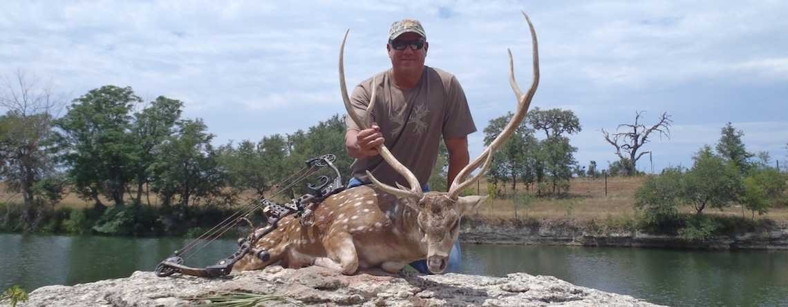 Texas Bow Hunter Hunting Axis Deer
