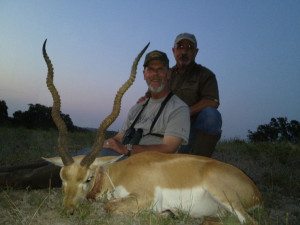 25 inch Trophy Blackbuck Antelope