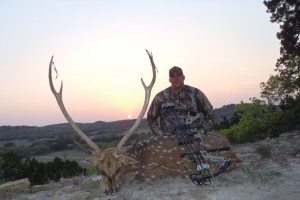 Axis Deer Hunting in Texas