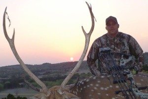 37 inch Trophy Axis Buck killed with Bow #8 in the World SCI Record Book