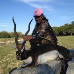 Blackbuck Antelope in Texas