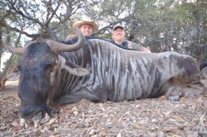 Blue Wildebeest Hunts in Texas
