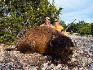 Buffalo Hunts in Texas