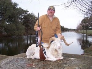 Texas Dall Sheep Hunt at Shonto Ranch in Kerrville, Texas.