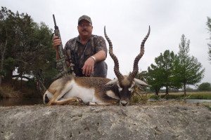 Trophy Blackbuck Antelope in the Texas Hill Country
