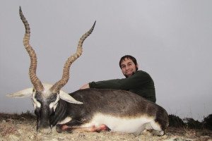 Trophy Blackbuck Antelope Hunt in Kerrville, Texas