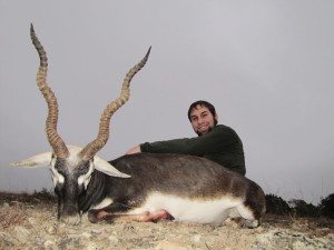 Trophy Blackbuck Antelope Hunt in Kerrville, Texas