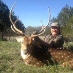 2014 Trophy Axis Buck at Shonto Ranch in Kerrville, TX.
