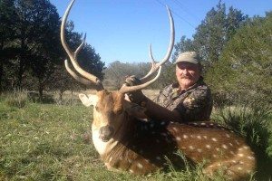 2014 Trophy Axis Buck at Shonto Ranch