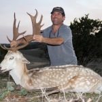 Hill Country Fallow Deer Shot with a Bow