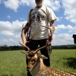 Trophy Fallow Deer Hunt