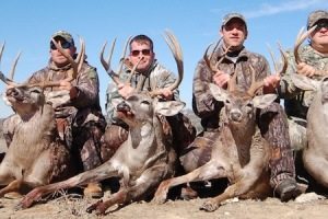 Corporate Deer Hunting Retreats at Shonto Ranch
