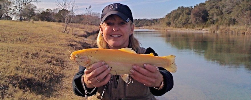 Great Golden Trout Fishing at Shonto Ranch