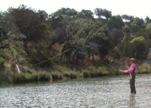 Rainbow Trout Fishing near Fredericksburg, Texas