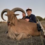 Aoudad Sheep Hunts at Shonto Ranch in Texas